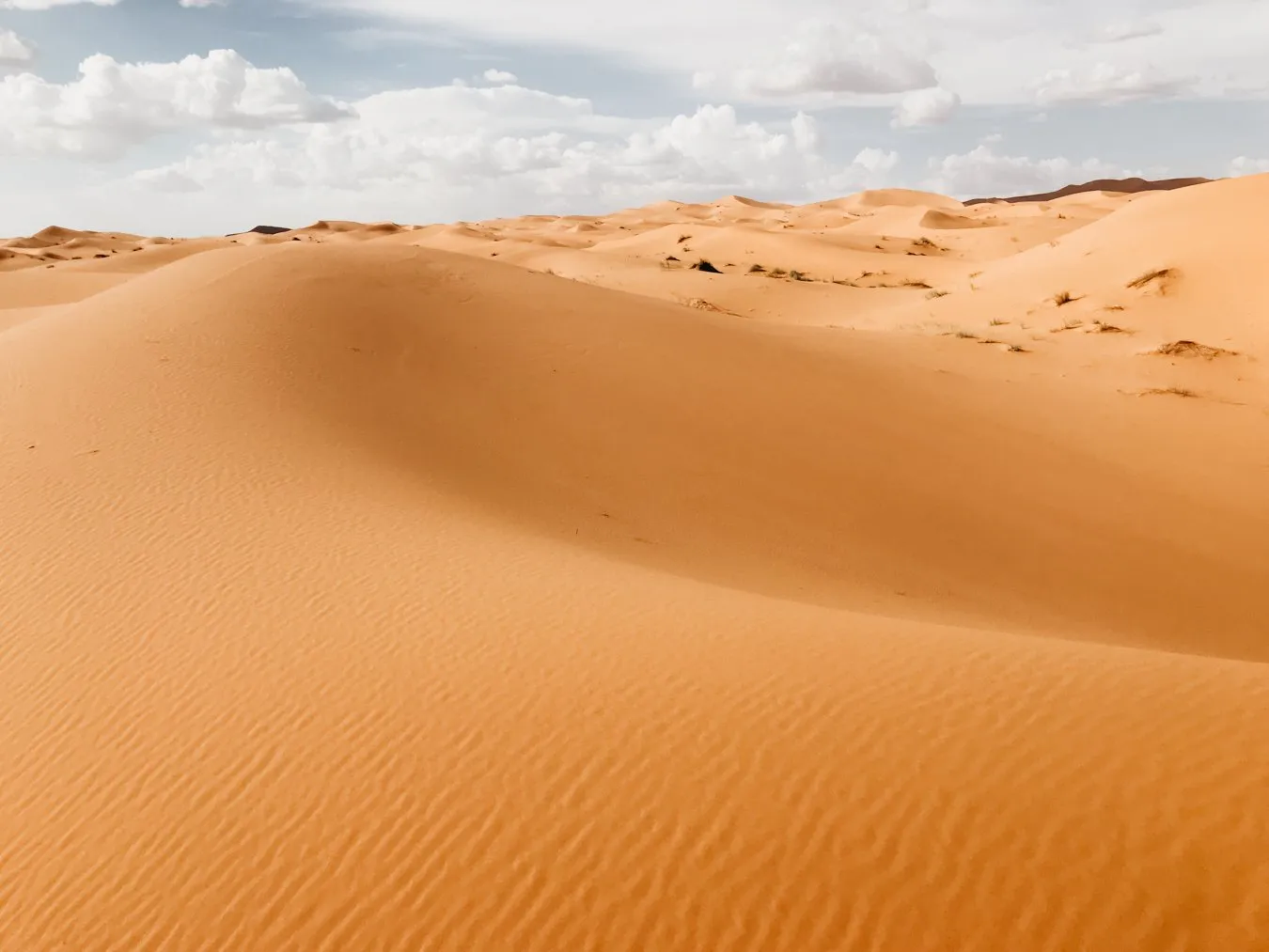 Fotografia de Ricardo Teixeira