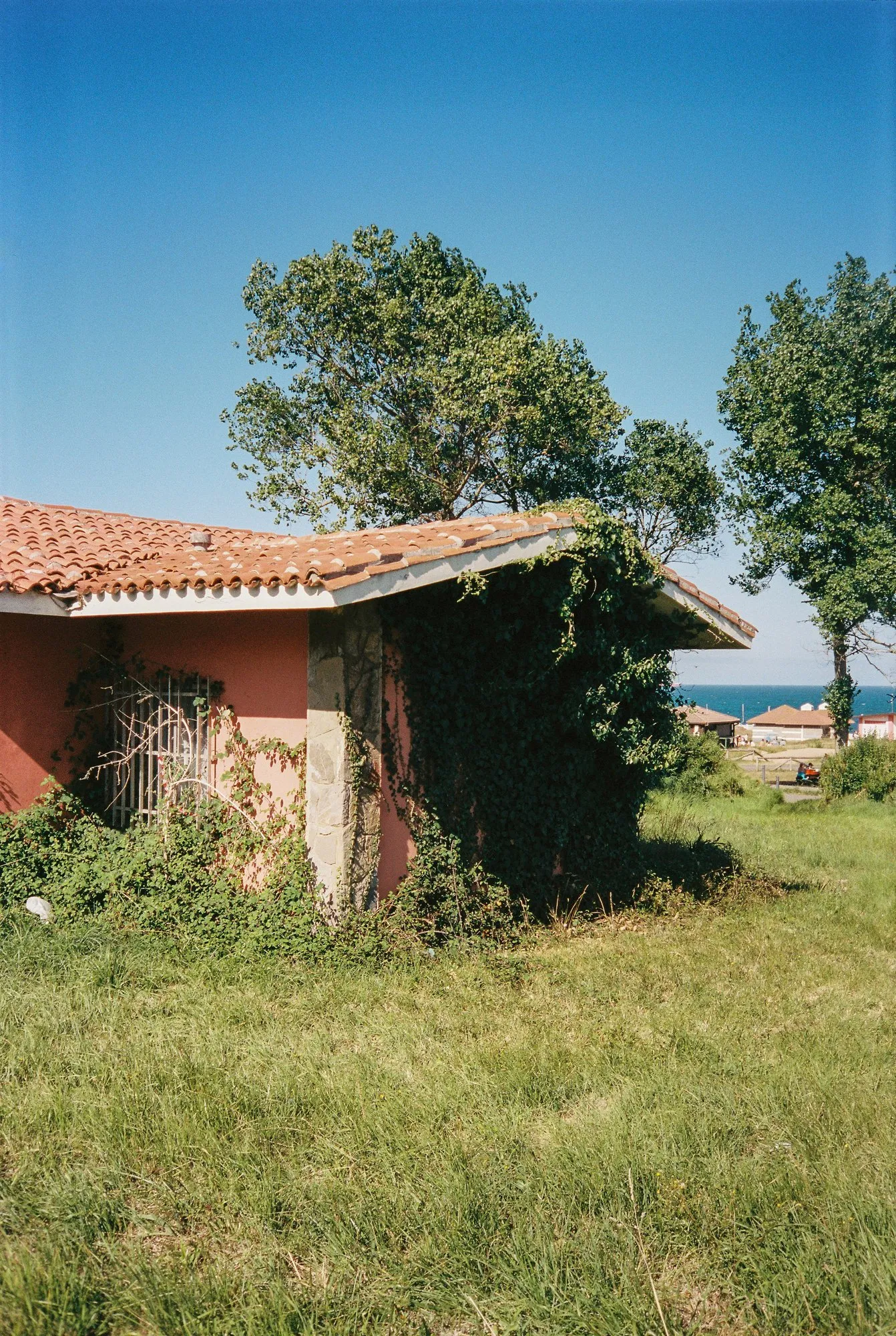 Fotografia de Ricardo Teixeira