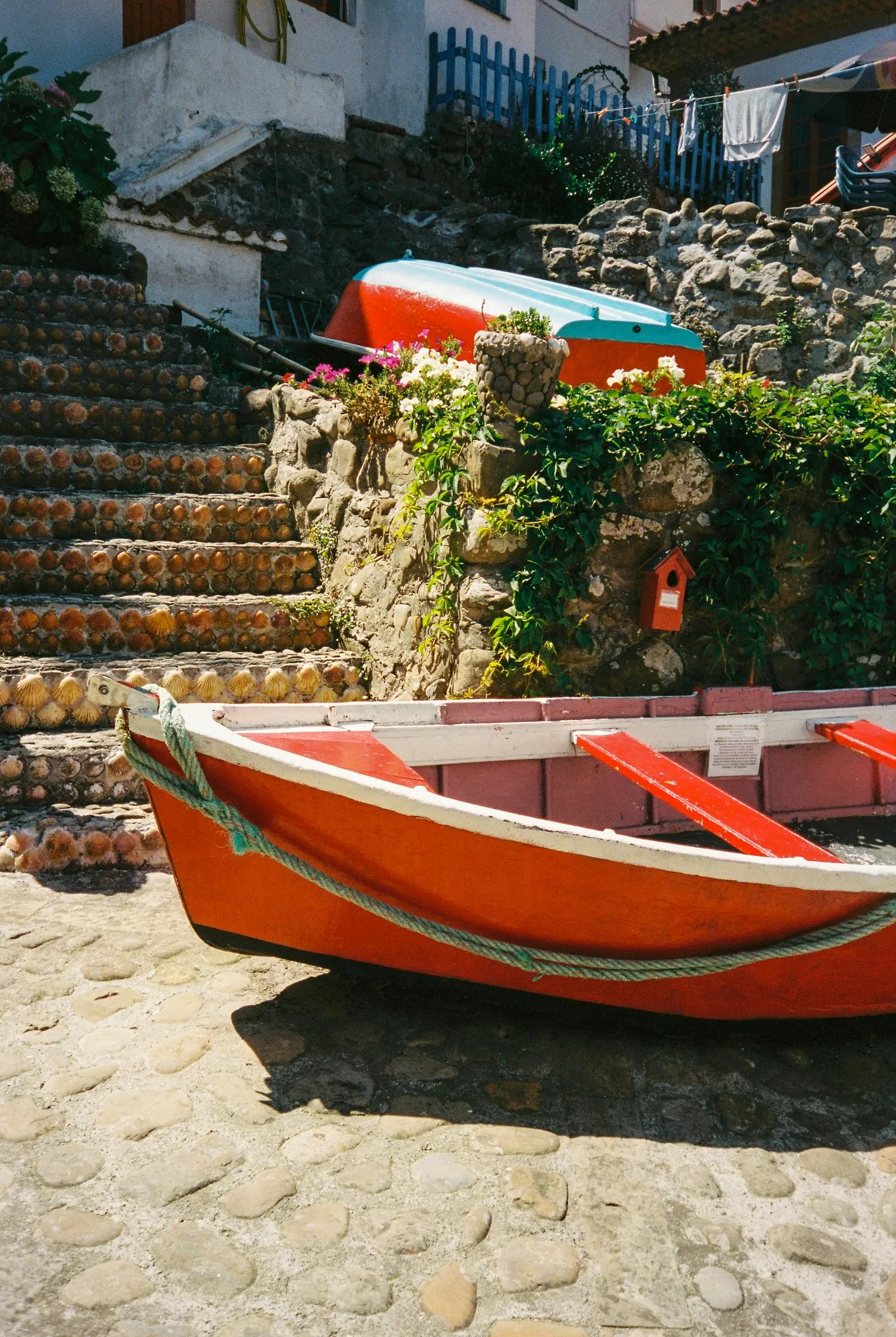 Fotografia de Ricardo Teixeira