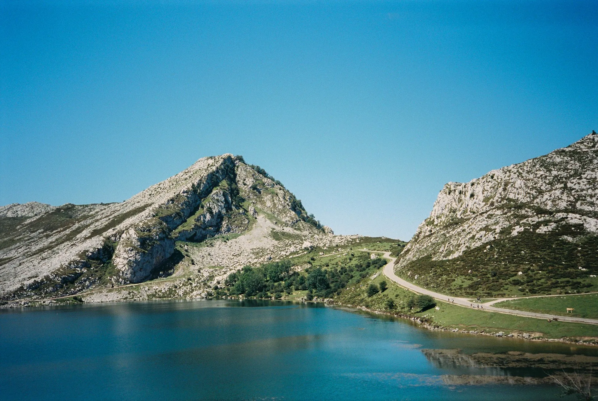 Fotografia de Ricardo Teixeira