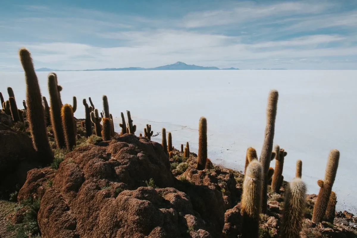 Fotografia de Ricardo Teixeira